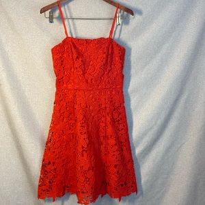 Soprano Lace Floral Dress (Nordstrom). Size XS